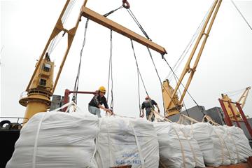 FAO ước tính xuất khẩu gạo Việt Nam lên 7,2 triệu tấn vào năm 2014